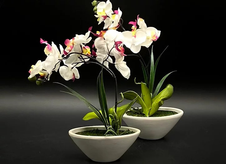 Flowerpot with orchid